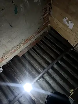 BowedFreudian online show from 28, 9, 2025