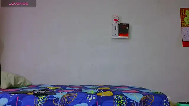 dylan apol0 online show from 17, 3, 2026