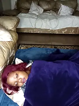 Sweet HoneyPot1 online show from 8, 3, 2026