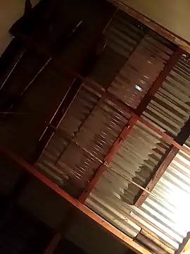 TPNUTS online show from 16, 9, 2025