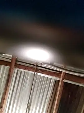 TPNUTS online show from 3, 10, 2025