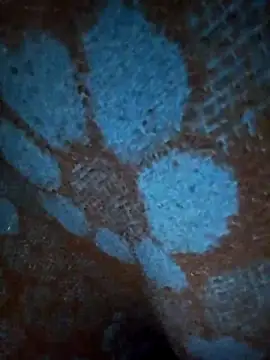 ParousFlow online show from 19, 1, 2026