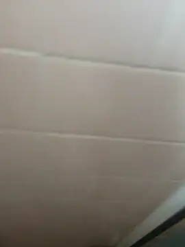 Snapshot of Guero661 chatting on 22, 9, 2025 Guero661 online show from 22, 9, 2025