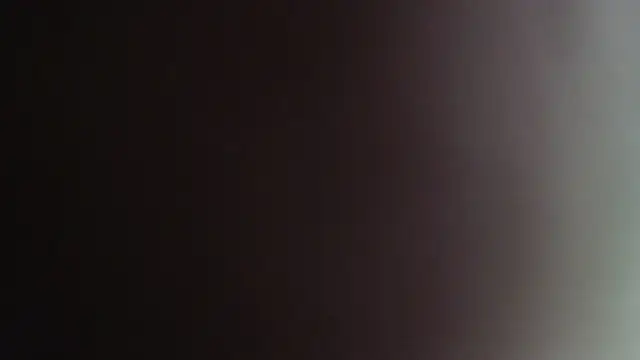 Snapshot of sacoa chatting on 4, 3, 2025 sacoa online show from 4, 3, 2025