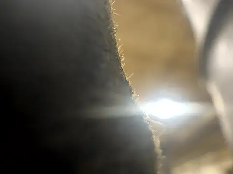 curis4270panda online show from 18, 3, 2026