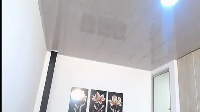 pinky f00x online show from 11, 5, 2026