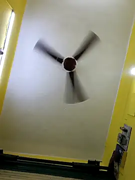 Sonjack7991 sj online show from 24, 3, 2026