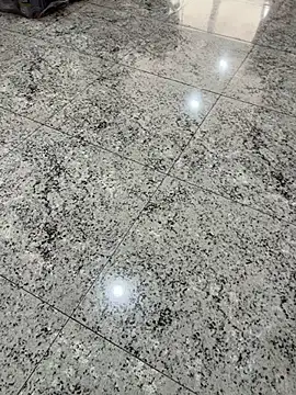 japa-16cm online show from 27, 9, 2025