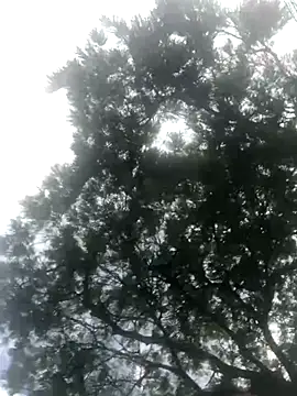 Snapshot of BryanaSmith21 chatting on 19, 9, 2025 BryanaSmith21 online show from 19, 9, 2025