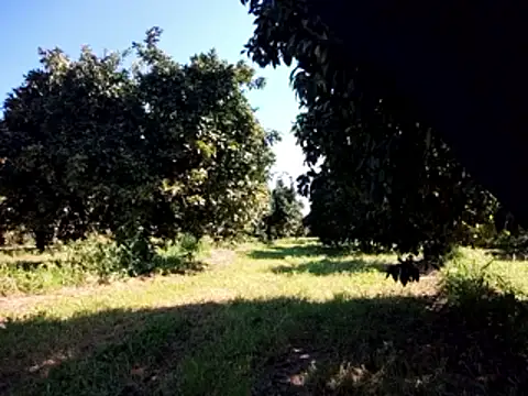 Snapshot of stefanoss321 chatting on 9, 3, 2026 stefanoss321 online show from 9, 3, 2026