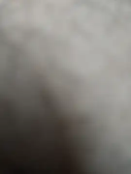 Leofj007 online show from 4, 3, 2026