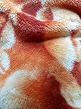 Snapshot of PROMYLOVE chatting on 6, 2, 2026 PROMYLOVE online show from 6, 2, 2026