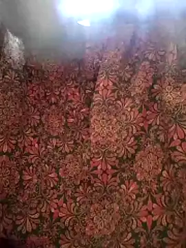 aunty sumy online show from 4, 2, 2026