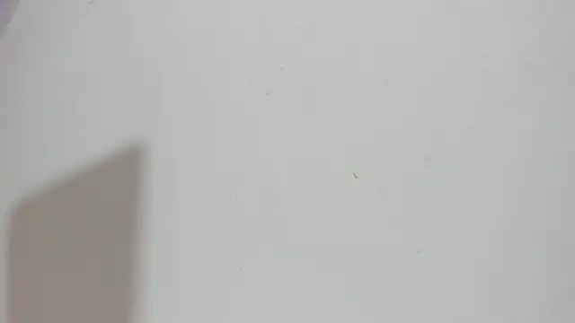 Snapshot of Sophia_Ebony chatting on 15, 5, 2026 Sophia Ebony online show from 15, 5, 2026