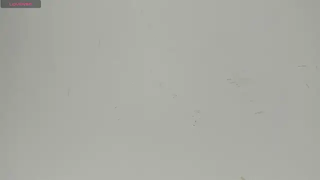 Snapshot of Sophia_Ebony chatting on 22, 6, 2026 Sophia Ebony online show from 22, 6, 2026
