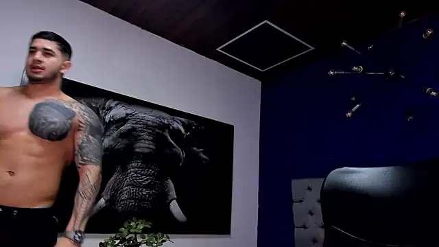 king falconer online show from 20, 12, 2025