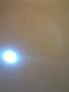 Oriana111 online show from 12, 3, 2026