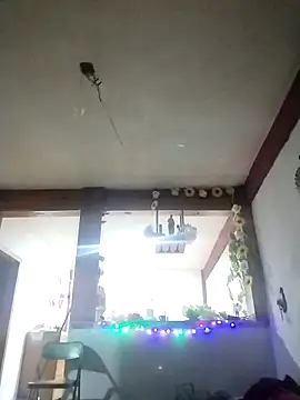 perrotjuui97 online show from 15, 11, 2025