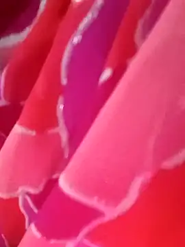 kittu0987 online show from 9, 2, 2026