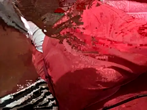 Kellye hotTs online show from 4, 2, 2026