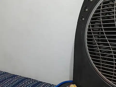 CuteAdha online show from 20, 3, 2026