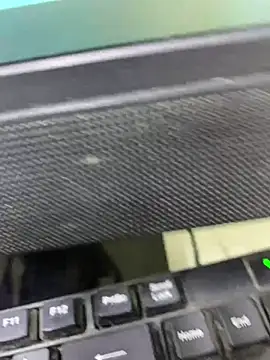 guridosul051 online show from 30, 7, 2026