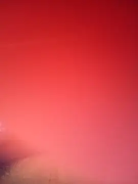 RosenRot07 online show from 31, 1, 2026