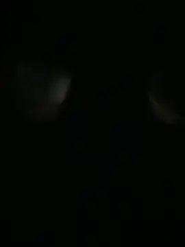 Archie-Davis online show from 31, 10, 2025