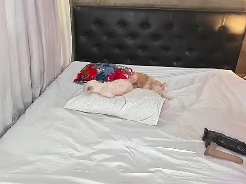 Snapshot of hotbabymaria chatting on 14, 11, 2025 hotbabymaria online show from 14, 11, 2025