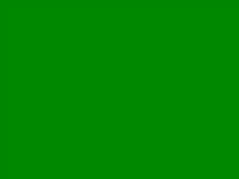 Ricaliciuos online show from 9, 5, 2026