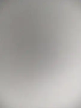 paulo220wats online show from 22, 2, 2026