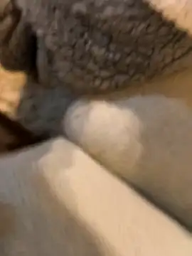 Snapshot of boy8540 chatting on 19, 1, 2026 boy8540 online show from 19, 1, 2026