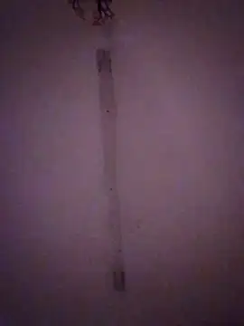 Snapshot of Bebita-zmp chatting on 28, 3, 2026 Bebita-zmp online show from 28, 3, 2026