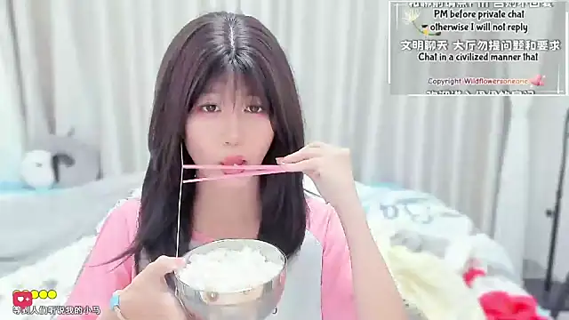 Rabbitlittlefool online show from 11, 3, 2026