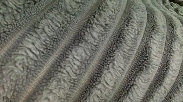 slutzilly online show from 13, 3, 2026