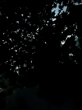 Girls pussy rider online show from 24, 11, 2025