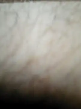 nikads0 online show from 19, 5, 2026