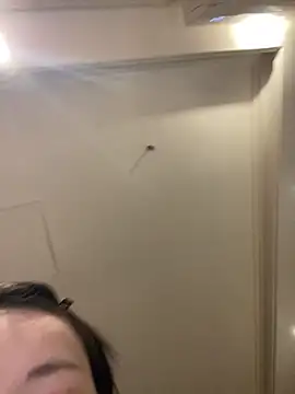 MengMeng0515 online show from 11, 3, 2026