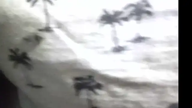 pietje1991 online show from 19, 3, 2026