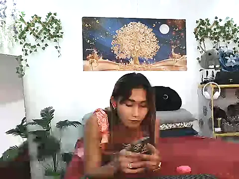 Snapshot of youarea_dreamer chatting on 6, 4, 2026 youarea dreamer online show from 6, 4, 2026