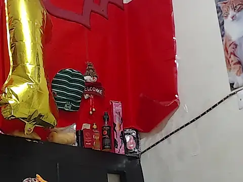 Npga96 online show from 7, 3, 2026