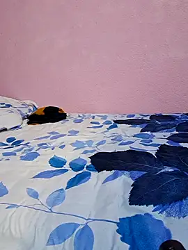 Snapshot of tharki-anand chatting on 27, 2, 2026 tharki-anand online show from 27, 2, 2026