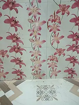 Snapshot of Meenaksi-singh chatting on 12, 10, 2025 Meenaksi-singh online show from 12, 10, 2025