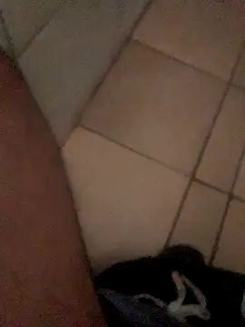 Lushen704 online show from 29, 10, 2025