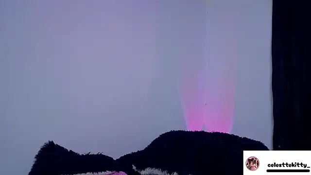 Snapshot of celestte_evans_1 chatting on 6, 3, 2026 celestte evans 1 online show from 6, 3, 2026