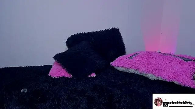 Snapshot of celestte_evans_1 chatting on 16, 3, 2026 celestte evans 1 online show from 16, 3, 2026