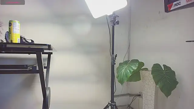 Snapshot of sakuramoss chatting on 24, 10, 2025 sakuramoss online show from 24, 10, 2025