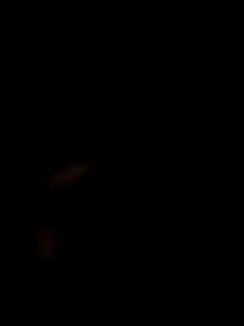 SofieLove 01 online show from 1, 12, 2025