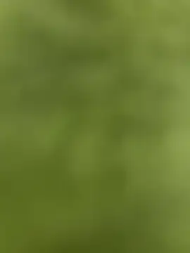 youyou933 online show from 12, 9, 2025