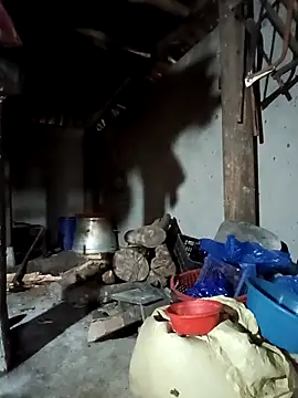 Snapshot of Exembin chatting on 17, 9, 2025 Exembin online show from 17, 9, 2025